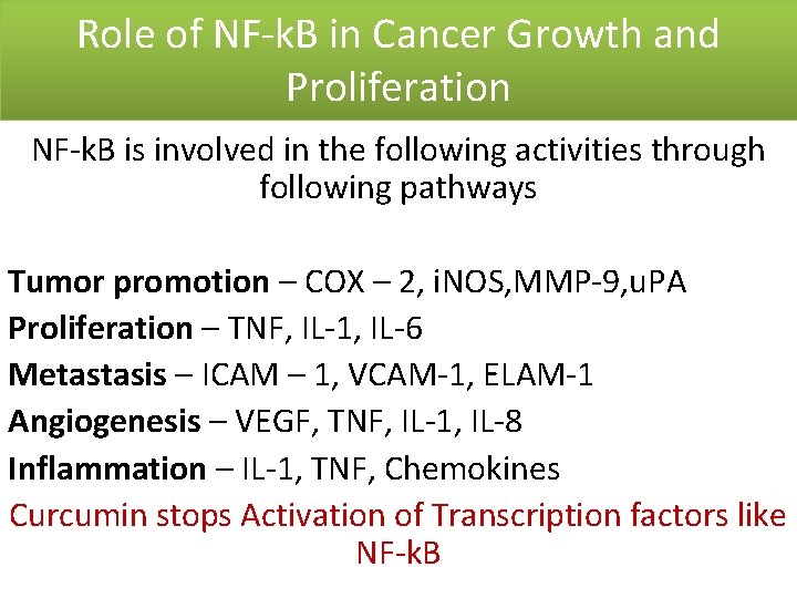 Role of NF-k. B in Cancer Growth and Proliferation NF-k. B is involved in