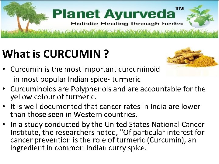 What is CURCUMIN ? • Curcumin is the most important curcuminoid in most popular