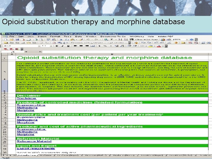 Opioid substitution therapy and morphine database 