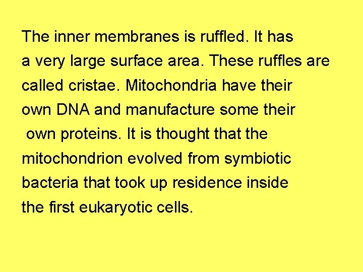 The inner membranes is ruffled. It has a very large surface area. These ruffles