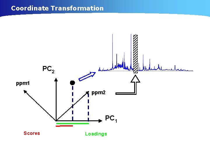 Coordinate Transformation PC 2 ppm 1 ppm 2 PC 1 Scores Loadings 