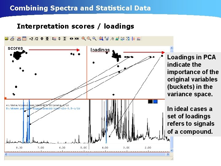 Combining Spectra and Statistical Data Interpretation scores / loadings Loadings in PCA indicate the