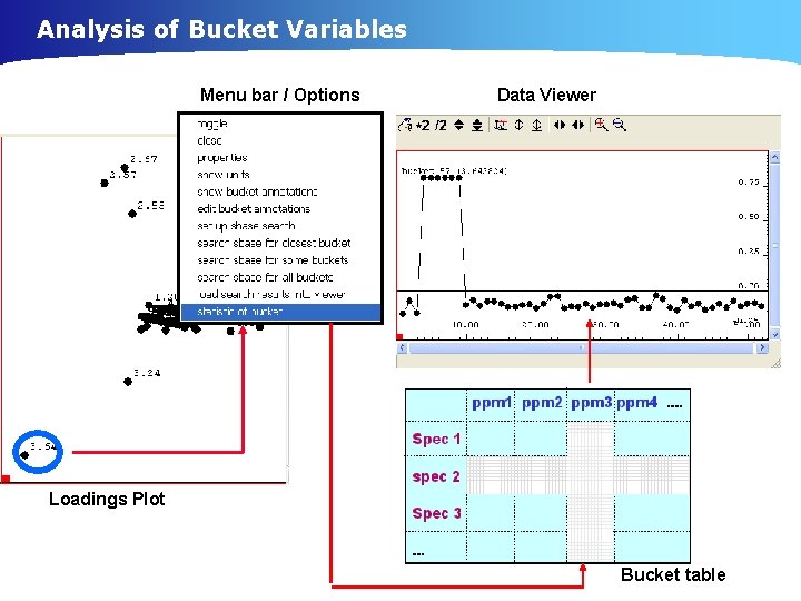 Analysis of Bucket Variables Menu bar / Options Data Viewer Loadings Plot Bucket table