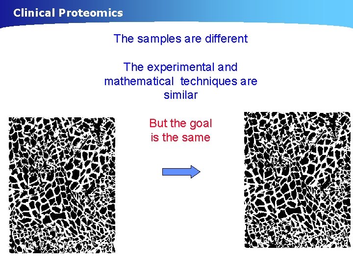 Clinical Proteomics The samples are different The experimental and mathematical techniques are similar But