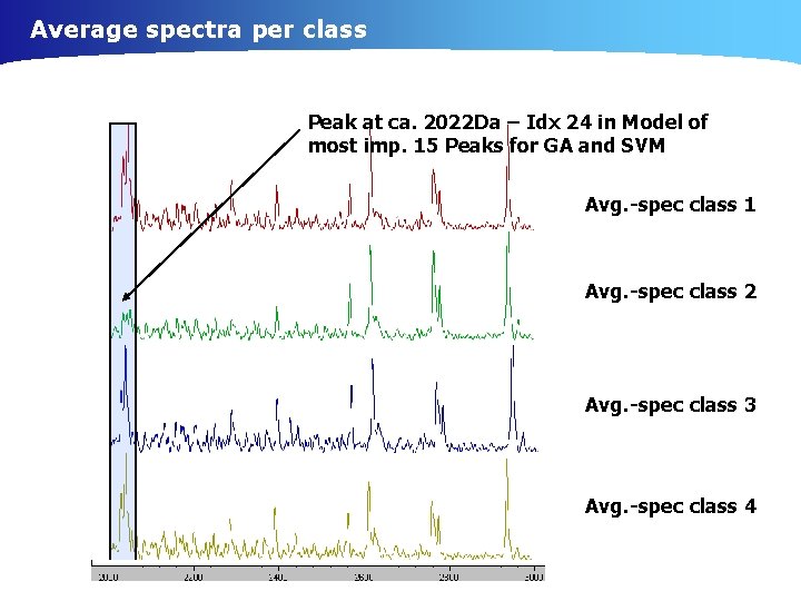 Average spectra per class Peak at ca. 2022 Da – Idx 24 in Model