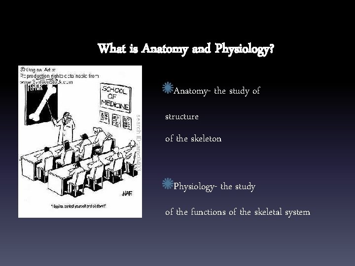 What is Anatomy and Physiology? Anatomy- the study of structure of the skeleton Physiology-