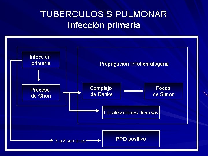 TUBERCULOSIS PULMONAR Infección primaria Propagación linfohematógena Complejo de Ranke Proceso de Ghon Focos de