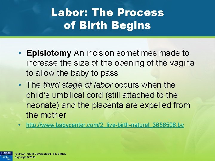 Labor: The Process of Birth Begins • Episiotomy An incision sometimes made to increase