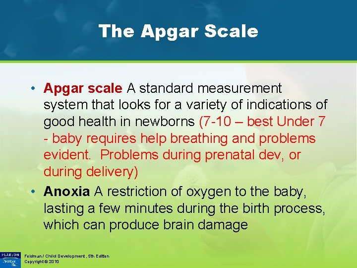 The Apgar Scale • Apgar scale A standard measurement system that looks for a