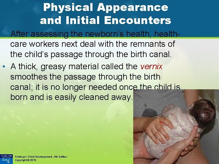 Physical Appearance and Initial Encounters • After assessing the newborn’s health, healthcare workers next