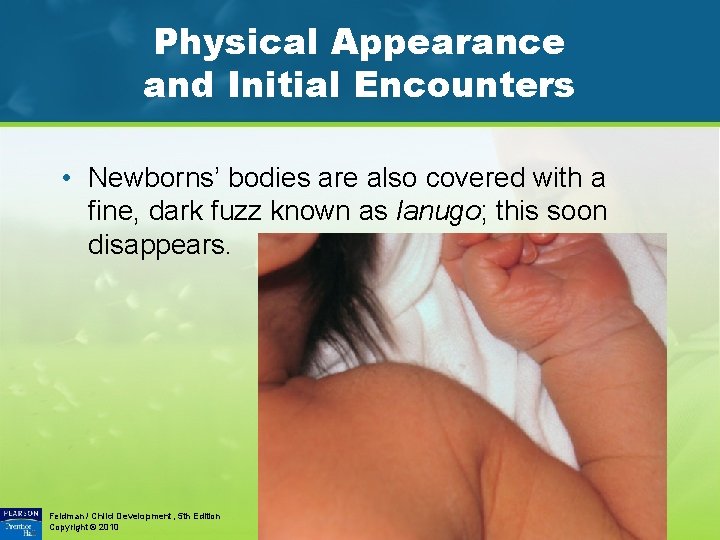 Physical Appearance and Initial Encounters • Newborns’ bodies are also covered with a fine,