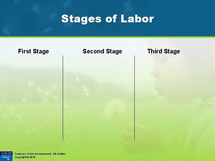 Stages of Labor First Stage Feldman / Child Development, 5 th Edition Copyright ©