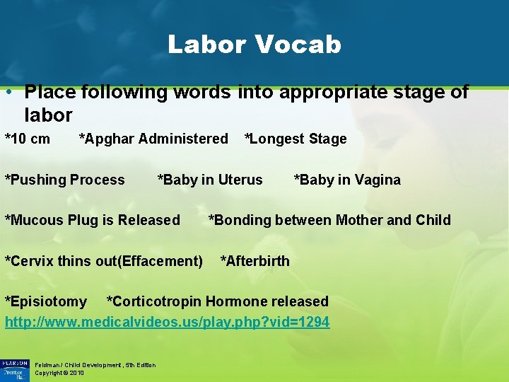 Labor Vocab • Place following words into appropriate stage of labor *10 cm *Apghar
