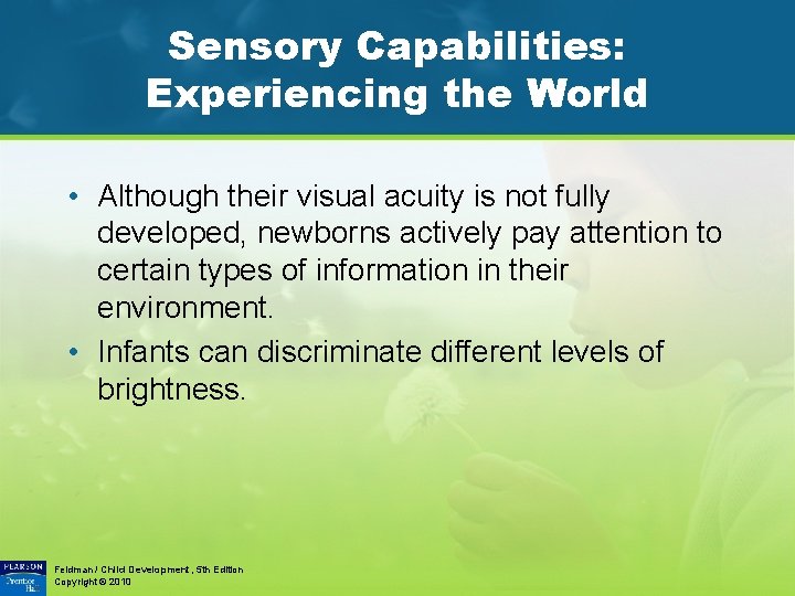 Sensory Capabilities: Experiencing the World • Although their visual acuity is not fully developed,