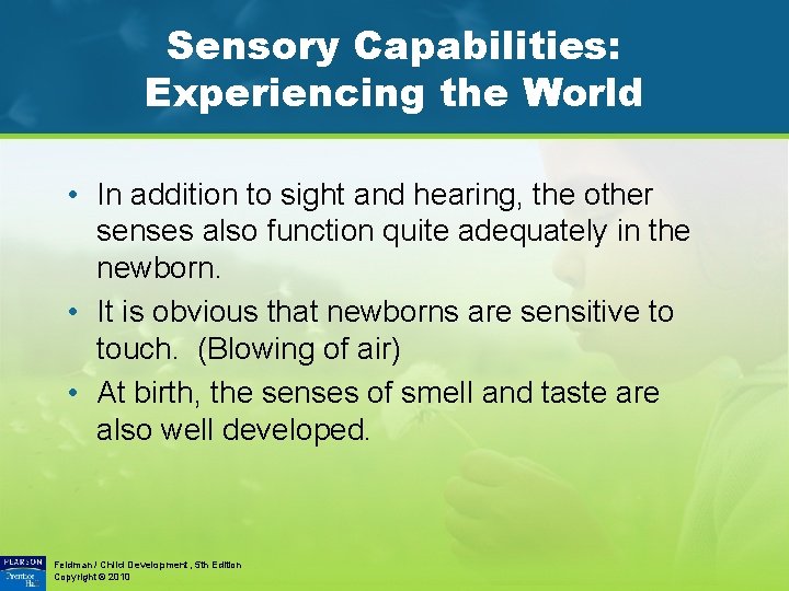 Sensory Capabilities: Experiencing the World • In addition to sight and hearing, the other