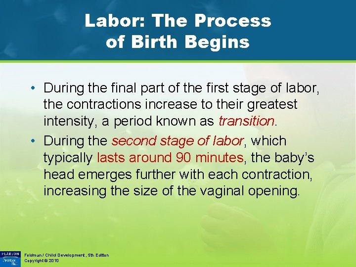Labor: The Process of Birth Begins • During the final part of the first