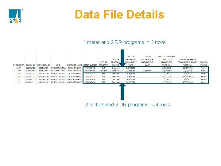 Data File Details 1 meter and 2 DR programs = 2 rows 2 meters