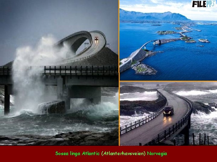 Sosea linga Atlantic (Atlanterhavsveien) Norvegia 