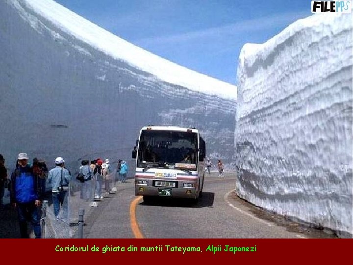 Coridorul de ghiata din muntii Tateyama, Alpii Japonezi 
