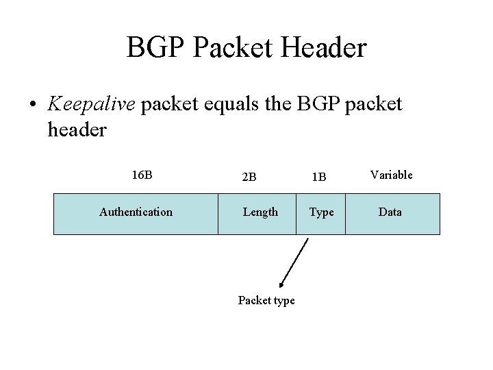 BGP Packet Header • Keepalive packet equals the BGP packet header 16 B Authentication