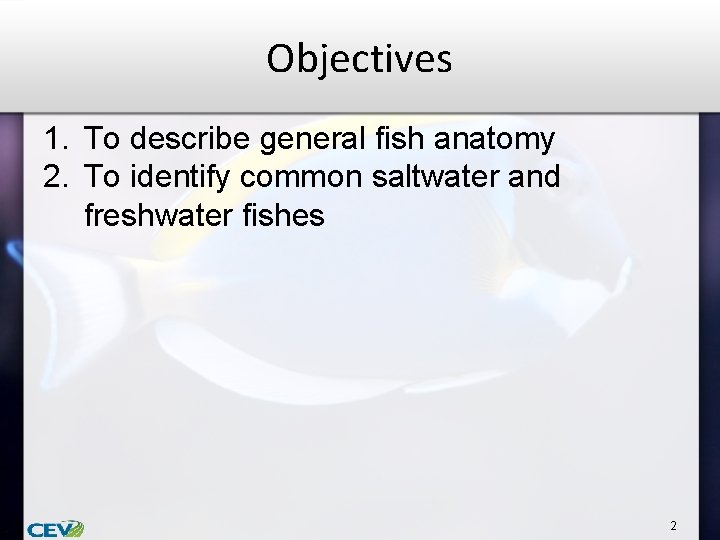 Objectives 1. To describe general fish anatomy 2. To identify common saltwater and freshwater