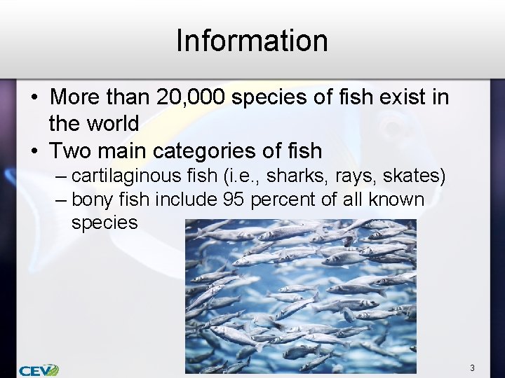 Information • More than 20, 000 species of fish exist in the world •