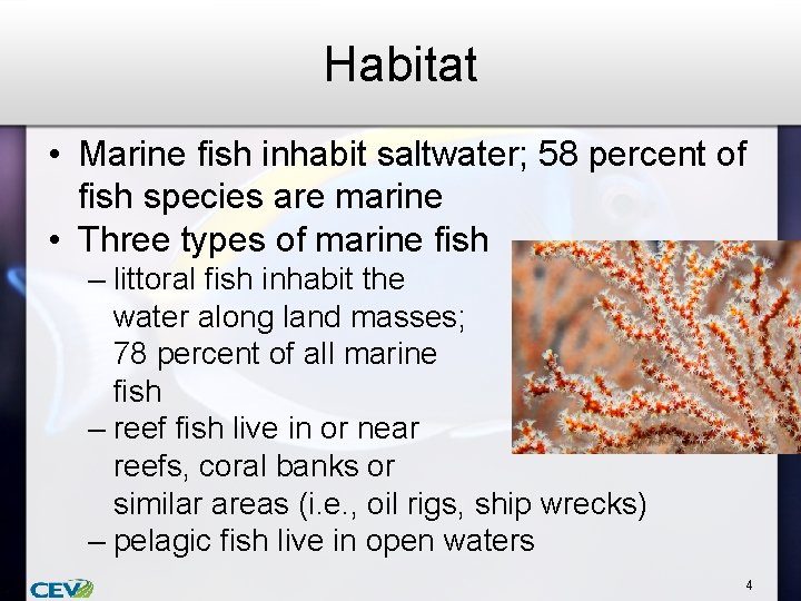 Habitat • Marine fish inhabit saltwater; 58 percent of fish species are marine •