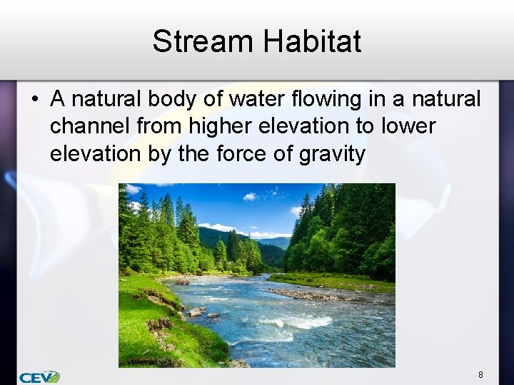 Stream Habitat • A natural body of water flowing in a natural channel from