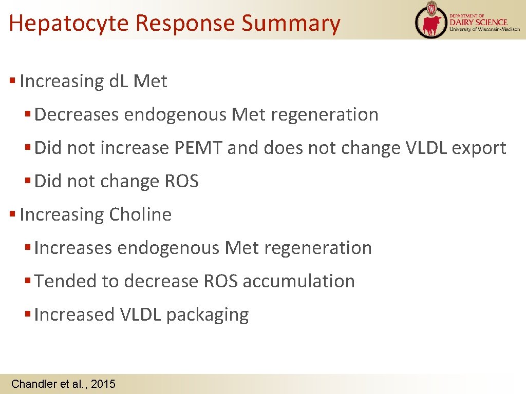 Hepatocyte Response Summary Increasing d. L Met Decreases endogenous Met regeneration Did not increase