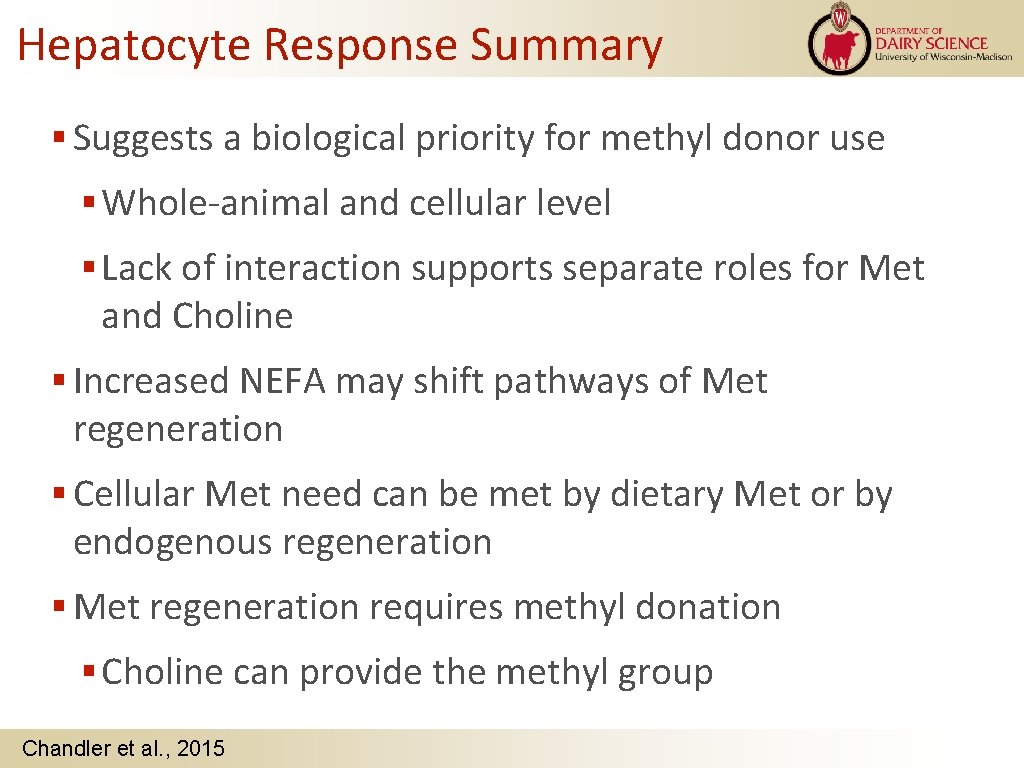 Hepatocyte Response Summary Suggests a biological priority for methyl donor use Whole-animal and cellular
