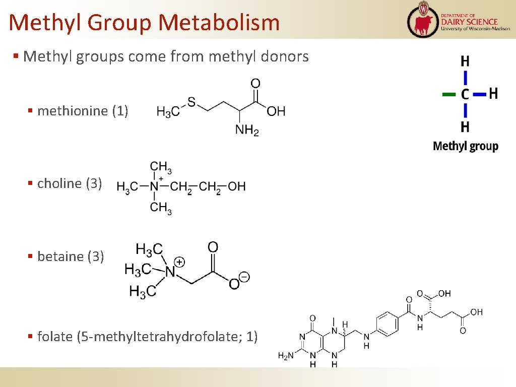 Methyl Group Metabolism Methyl groups come from methyl donors methionine (1) choline (3) betaine