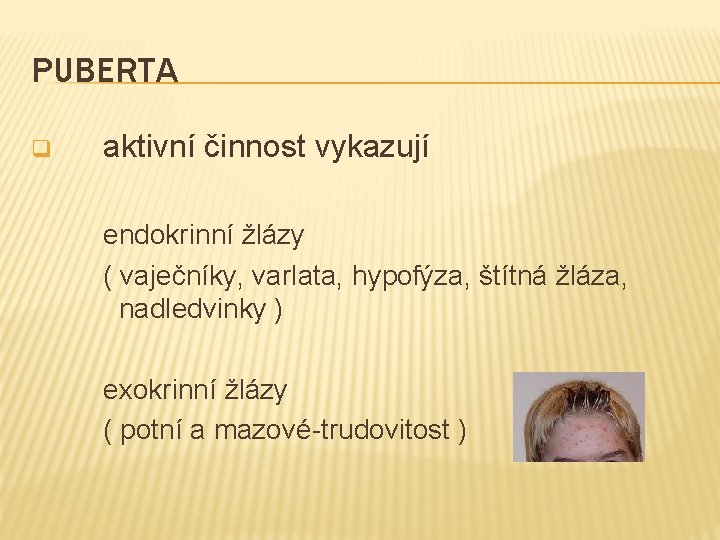 PUBERTA q aktivní činnost vykazují endokrinní žlázy ( vaječníky, varlata, hypofýza, štítná žláza, nadledvinky