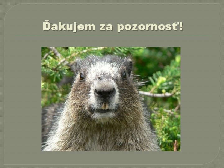 Ďakujem za pozornosť! 