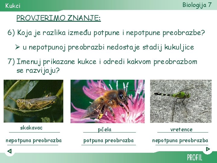 Biologija 7 Kukci PROVJERIMO ZNANJE: 6) Koja je razlika između potpune i nepotpune preobrazbe?