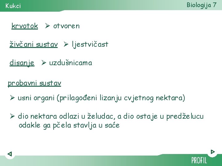 Kukci Biologija 7 krvotok Ø otvoren živčani sustav Ø ljestvičast disanje Ø uzdušnicama probavni