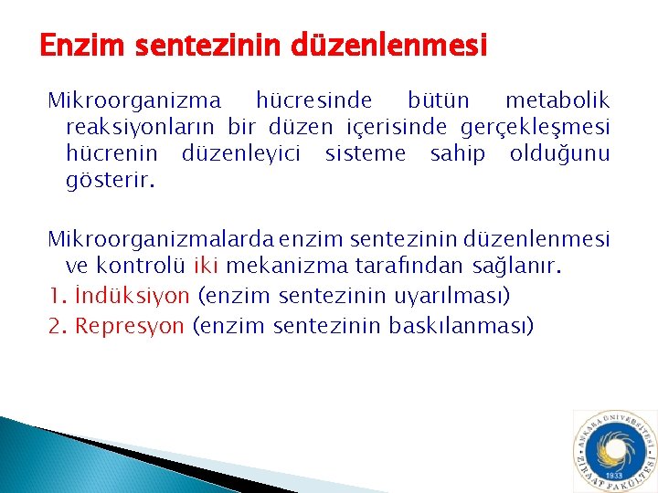 Enzim sentezinin düzenlenmesi Mikroorganizma hücresinde bütün metabolik reaksiyonların bir düzen içerisinde gerçekleşmesi hücrenin düzenleyici