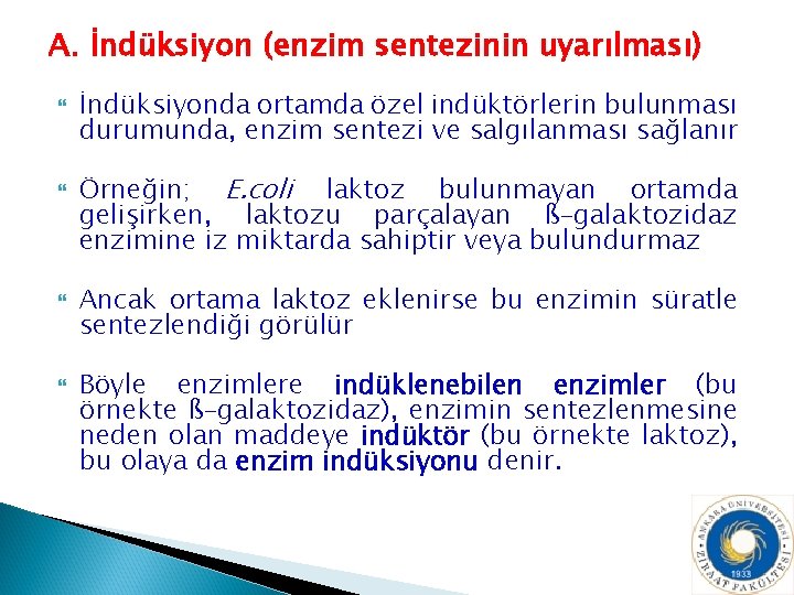 A. İndüksiyon (enzim sentezinin uyarılması) İndüksiyonda ortamda özel indüktörlerin bulunması durumunda, enzim sentezi ve