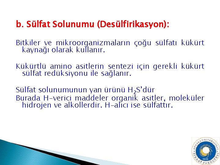 b. Sülfat Solunumu (Desülfirikasyon): Bitkiler ve mikroorganizmaların çoğu sülfatı kükürt kaynağı olarak kullanır. Kükürtlü