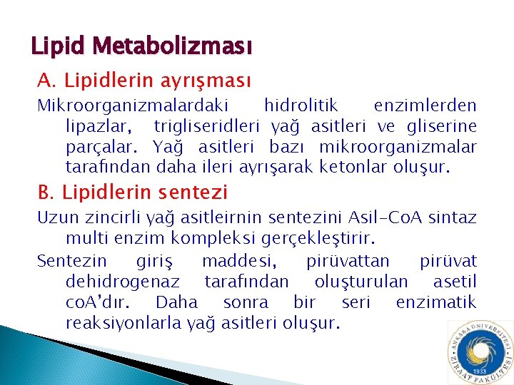 Lipid Metabolizması A. Lipidlerin ayrışması Mikroorganizmalardaki hidrolitik enzimlerden lipazlar, trigliseridleri yağ asitleri ve gliserine