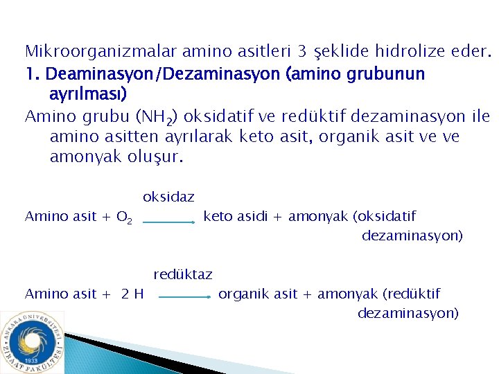 Mikroorganizmalar amino asitleri 3 şeklide hidrolize eder. 1. Deaminasyon/Dezaminasyon (amino grubunun ayrılması) Amino grubu