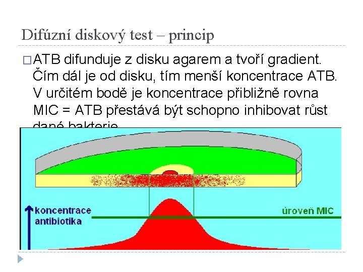 Difúzní diskový test – princip �ATB difunduje z disku agarem a tvoří gradient. Čím