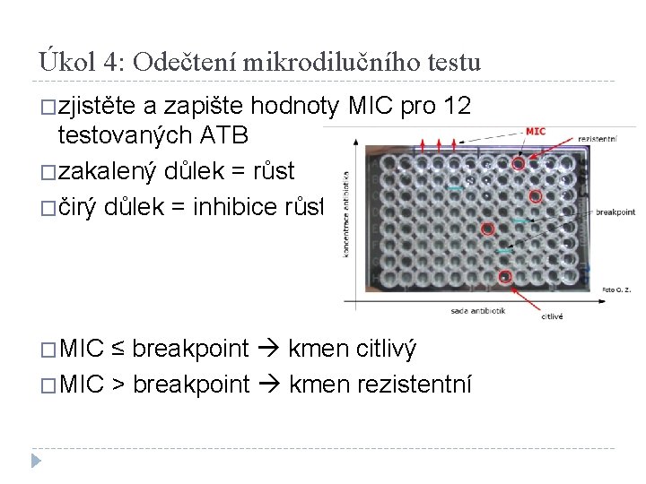 Úkol 4: Odečtení mikrodilučního testu �zjistěte a zapište hodnoty MIC pro 12 testovaných ATB