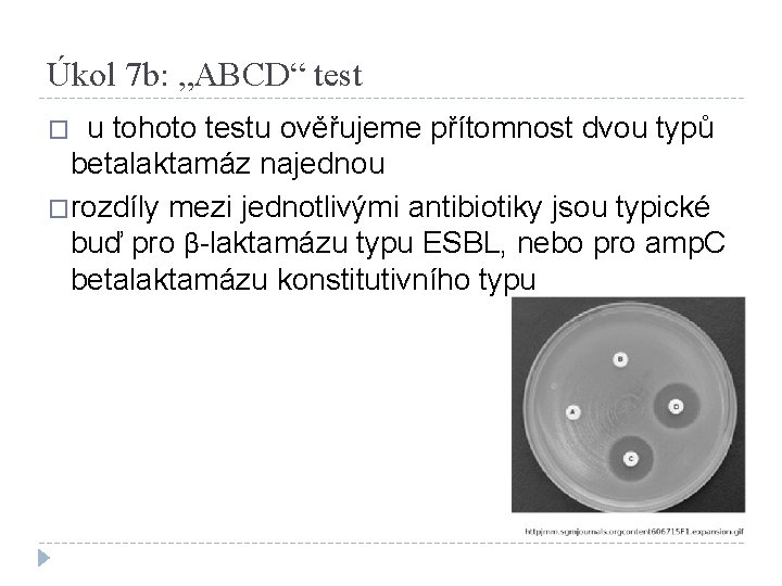 Úkol 7 b: „ABCD“ test u tohoto testu ověřujeme přítomnost dvou typů betalaktamáz najednou