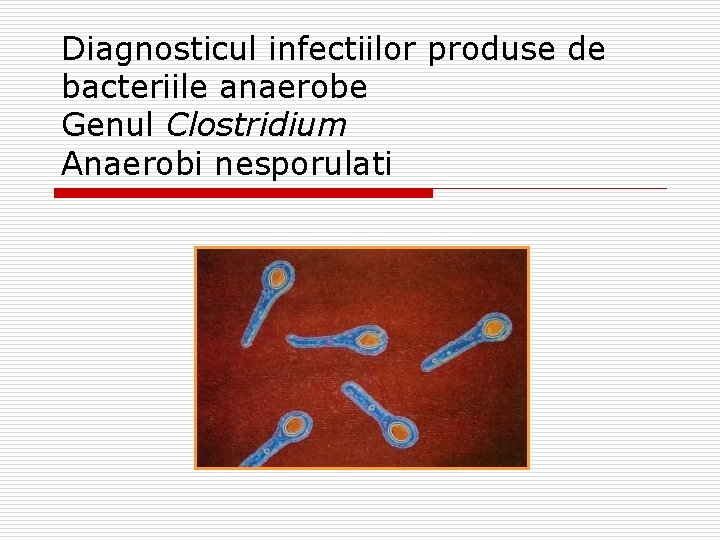 Diagnosticul infectiilor produse de bacteriile anaerobe Genul Clostridium Anaerobi nesporulati 