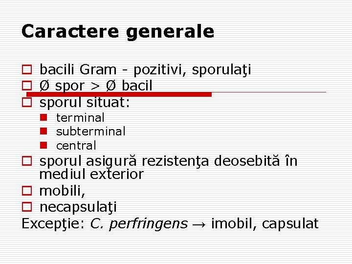Caractere generale o bacili Gram - pozitivi, sporulaţi o Ø spor > Ø bacil