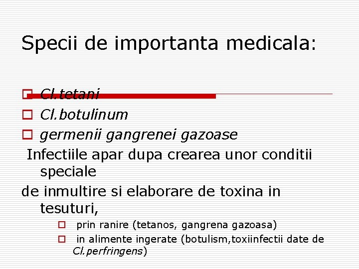Specii de importanta medicala: o Cl. tetani o Cl. botulinum o germenii gangrenei gazoase