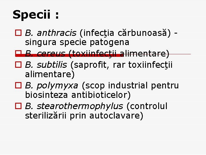 Specii : o B. anthracis (infecţia cărbunoasă) singura specie patogena o B. cereus (toxiinfecţii