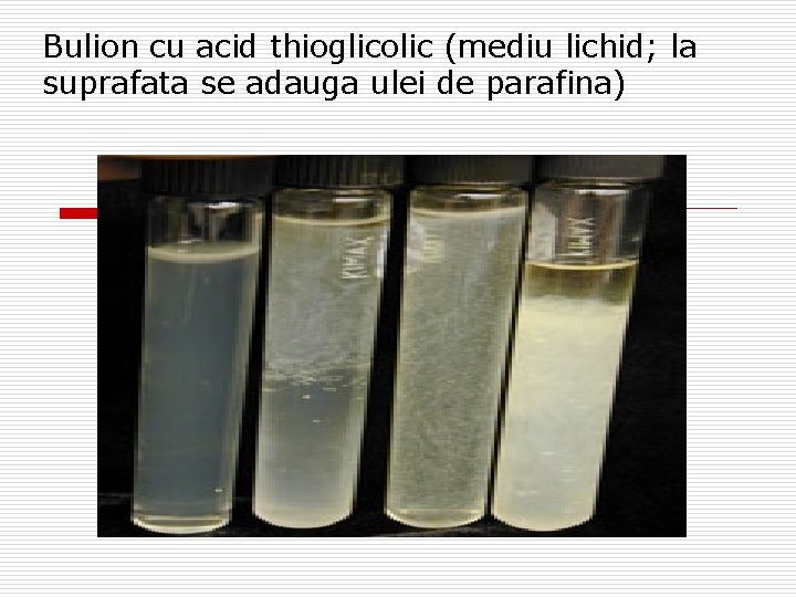 Bulion cu acid thioglicolic (mediu lichid; la suprafata se adauga ulei de parafina) 