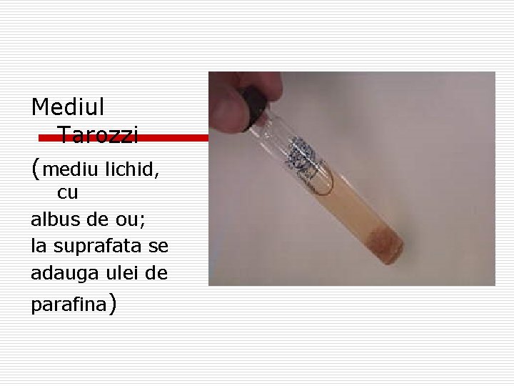 Mediul Tarozzi (mediu lichid, cu albus de ou; la suprafata se adauga ulei de