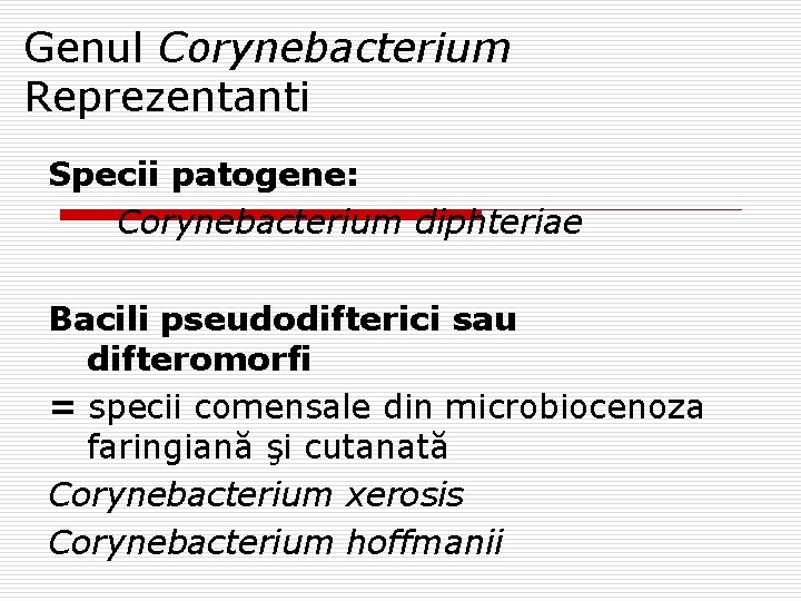 Genul Corynebacterium Reprezentanti Specii patogene: Corynebacterium diphteriae Bacili pseudodifterici sau difteromorfi = specii comensale
